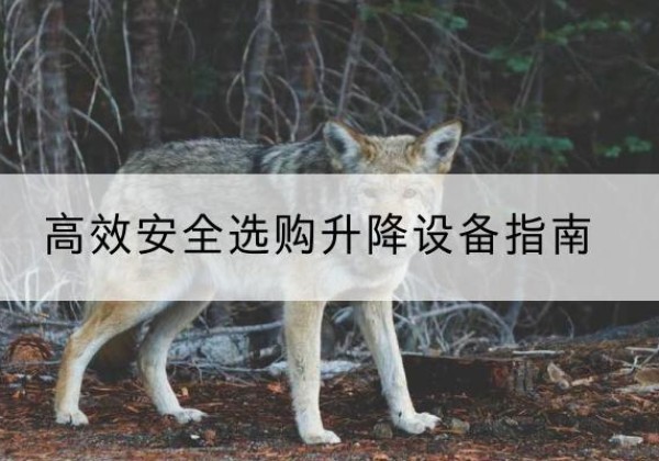 益阳升降货梯厂家推荐-*安全选购升降设备指南