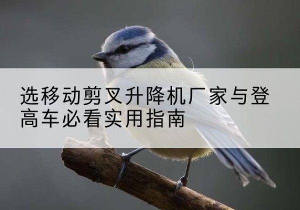 益阳电动升降机厂家-选移动剪叉升降机厂家与登高车必看实用指南