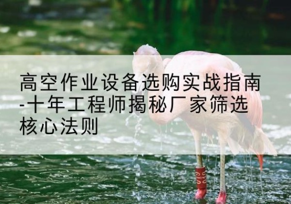 益阳剪叉式升降机厂家-高空作业设备选购实战指南-十年工程师揭秘厂家筛选核心法则